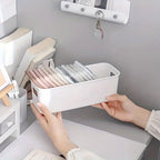 10-Pack Minimalist Medium Storage Bins